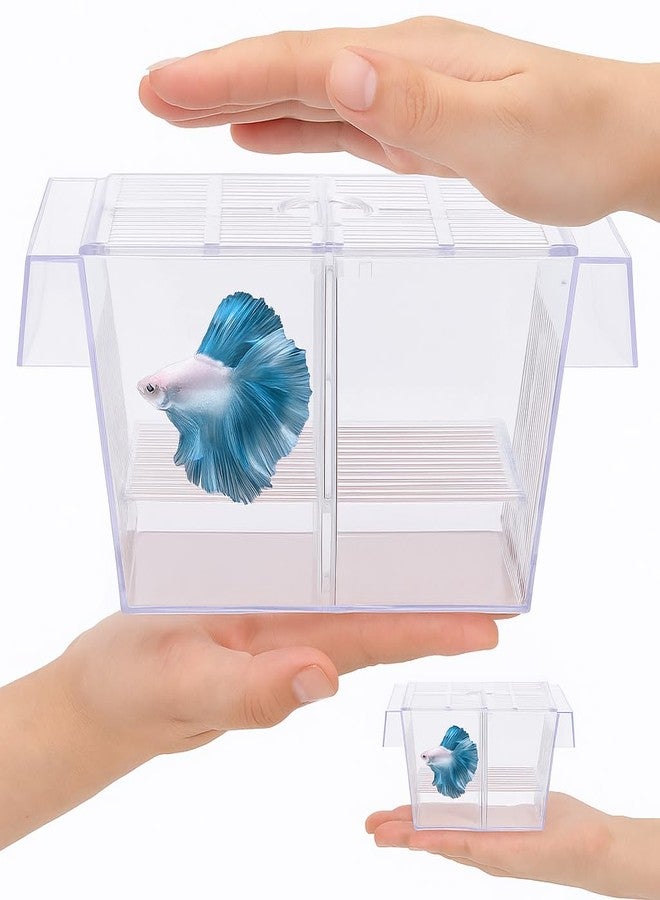 VAYINATO Fish Breeding Box Tank Hatchery Incubator Aquarium Isolation Box For Baby Shrimp Guppy Fh-101 By Petzlifeworld - Image 5